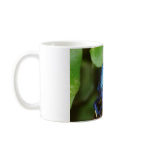blue poison arrow frog mugs