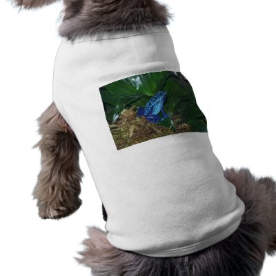 Blue Poison Arrow Frog Portrait Dog Clothing by thekingchivas