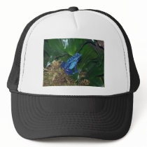 Blue Poison Arrow Frog Portrait Hat