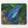 Blue Poison Arrow Frog Portrait Mouse Mats