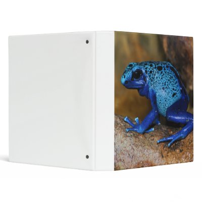 Blue Poison Dart Frog Dendrobates Azureus 3 Ring Binders by wallarts