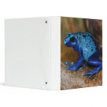 Blue Poison Dart Frog Dendrobates Azureus binders