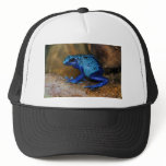 Blue Poison Dart Frog Dendrobates Azureus Trucker Hats