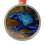 Blue Poison Dart Frog Dendrobates Azureus Christmas Tree Ornament