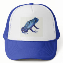 Blue Poison Dart Frog Hat by JessicaInSeattle Blue Poison Dart Frog Hat