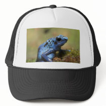 Blue Poison Dart Frog Hats