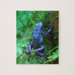 Blue Poison Dart Frog Jigsaw Puzzles