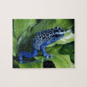 blue poison dart frog jigsaw puzzles
