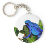 Blue Poison Dart Frog Keychain