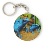 BLUE POISON DART FROG KEYCHAIN KEYRING