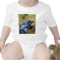Blue Poison Dart Frog Tee Shirts