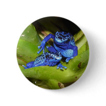Blue Poison Dart Frogs In Leaf 1 Pinback Buttons