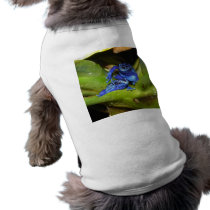 Blue Poison Dart Frogs In Leaf 1 Dog Tee