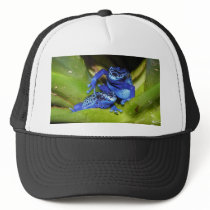 Blue Poison Dart Frogs In Leaf 1 Mesh Hats