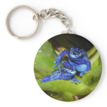 Blue Poison Dart Frogs In Leaf 1 Keychain