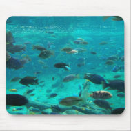 Blue pool of cichlids swimming around design mousepad