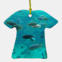 Blue pool of cichlids swimming around design ornaments