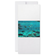 Blue pool of cichlids swimming around design rack card