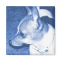 Blue Pop Art Chihuahua Magnet by RLMdesignes Blue Pop Art Chihuahua Magnet