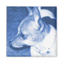 Blue Pop Art Chihuahua Magnet by RLMdesignes Blue Pop Art Chihuahua Magnet
