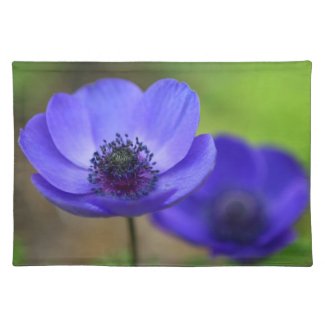 blue poppy