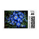 Blue postage by jazzrock Blue postage
