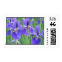 blue postage