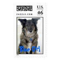 Blue Postage Stamp
