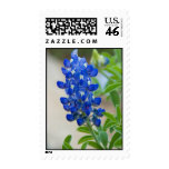Blue Postage