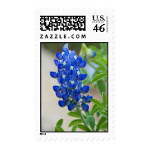 Blue Postage