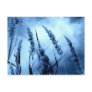 Blue Post Card