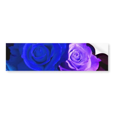 Blue Purple Rose Bumper Sticker - Customizable by colorimages