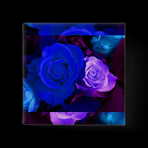 Blue Purple Rose Button by Yve_13 Blue Purple Rose Button