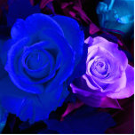 blue purple rose, photo sculpture, weddings, save