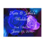 Blue Purple Rose Post Card
