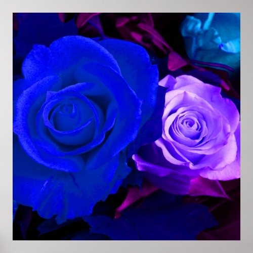 Blue Purple Rose print