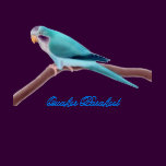 Blue Quaker Parakeet Ladies Babydoll
