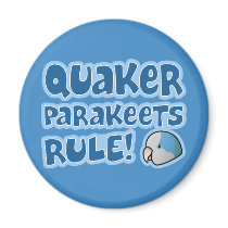 Blue Quaker Parakeets Rule magnets