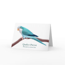 Blue Quaker Parrot Greeting Card
