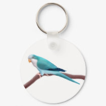 Blue Quaker Parrot Keychain