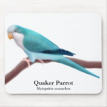 Blue Quaker Parrot Mousepad by twopurringcats Blue Quaker Parrot Mousepad