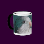 Blue Quaker Parrot Mug