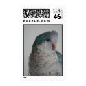 Blue Quaker Parrot postage
