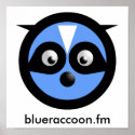 blue raccoon poster print