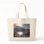 Blue Ray Guardian bags