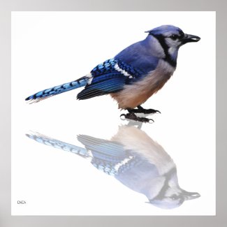 Blue Reflections zazzle_print