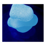 Blue Reflections Print print