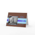 Blue Ribbon Birth Announcement cards