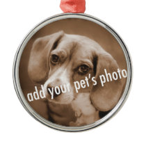 Blue Ribbon Pet Picture necklace premium ornaments