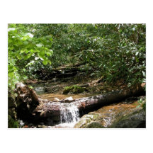 Blue Ridge Mountain Creek Post Card
